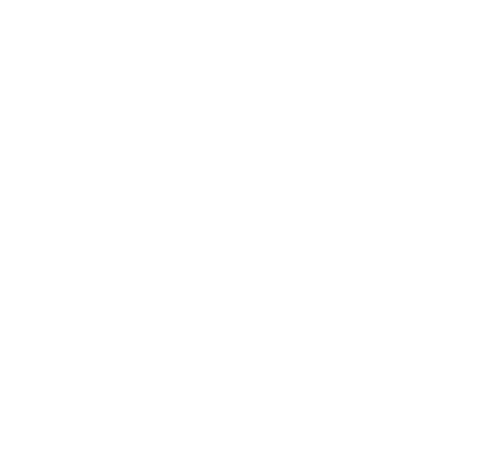 Certificato Microsoft Partner